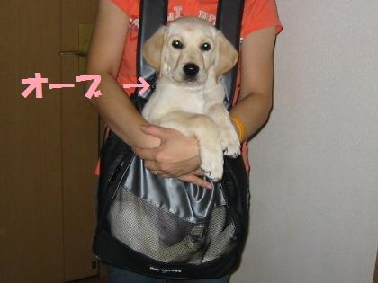 �o���������Ƃ�������I