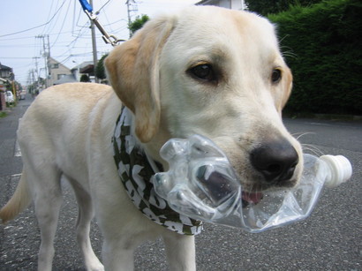 �o���������Ƃ�������I