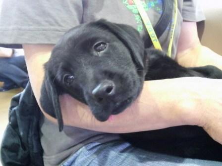 �o���������Ƃ�������I