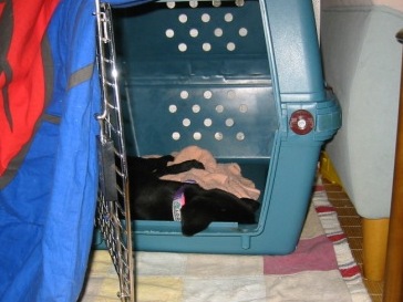 �o���������Ƃ�������I