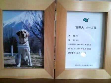 �o���������Ƃ�������I