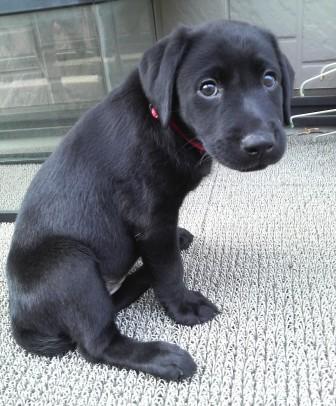 �o���������Ƃ�������I