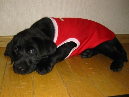 �o���������Ƃ�������I