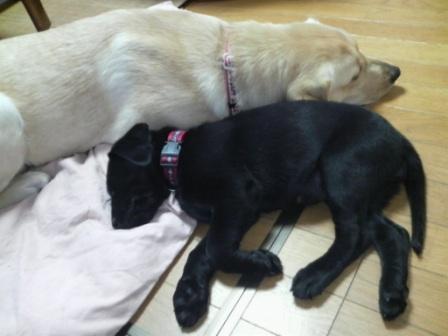 �o���������Ƃ�������I