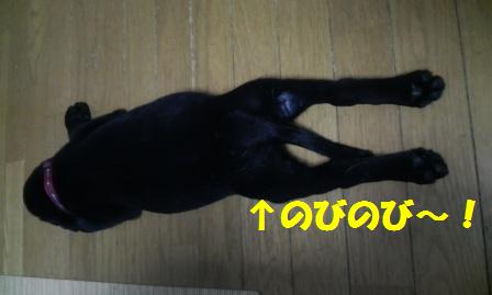 �o���������Ƃ�������I