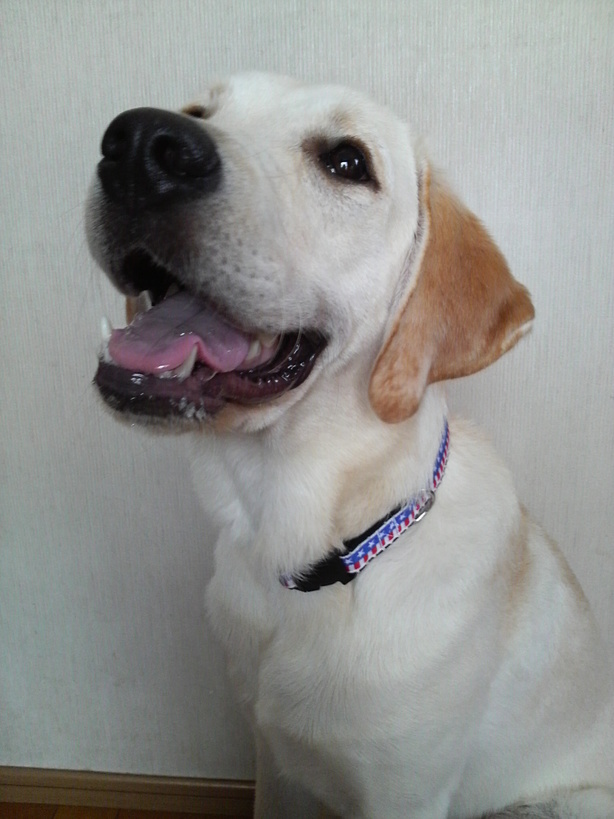 �o���������Ƃ�������I