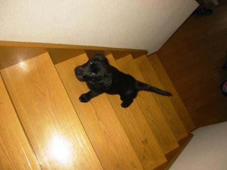 �o���������Ƃ�������I