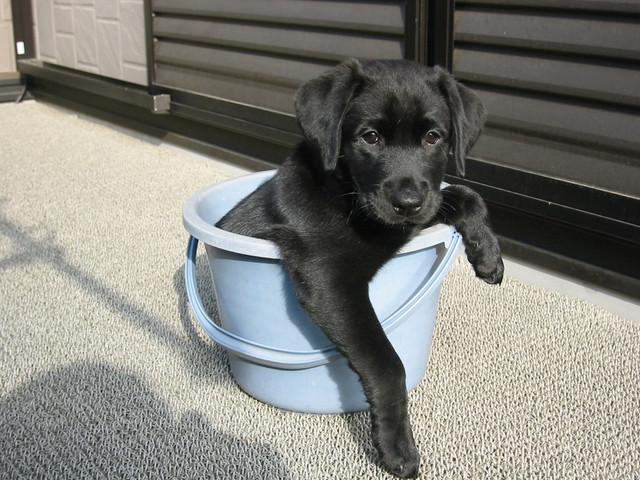 �o���������Ƃ�������I