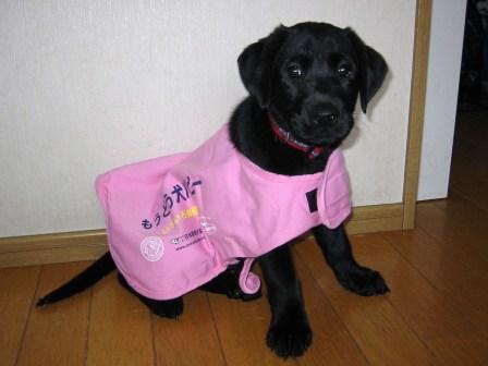 �o���������Ƃ�������I