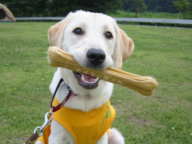 �o���������Ƃ�������I