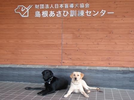 �o���������Ƃ�������I