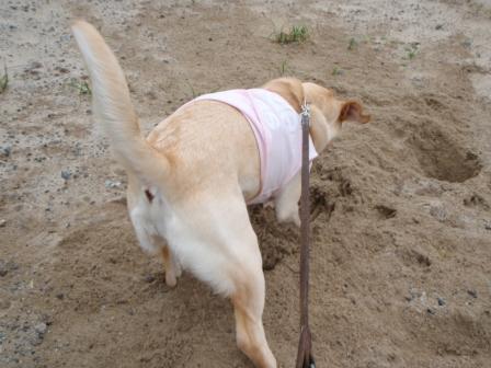 �o���������Ƃ�������I