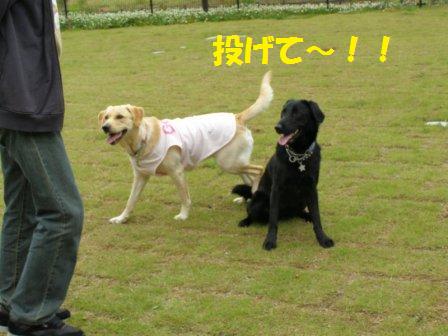 �o���������Ƃ�������I