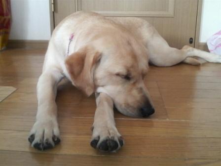 �o���������Ƃ�������I