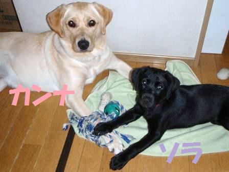 �o���������Ƃ�������I