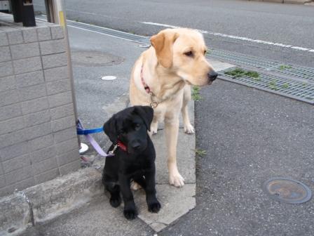 �o���������Ƃ�������I