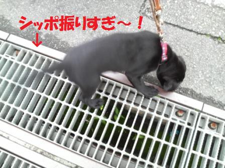 �o���������Ƃ�������I