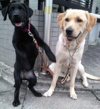 �o���������Ƃ�������I