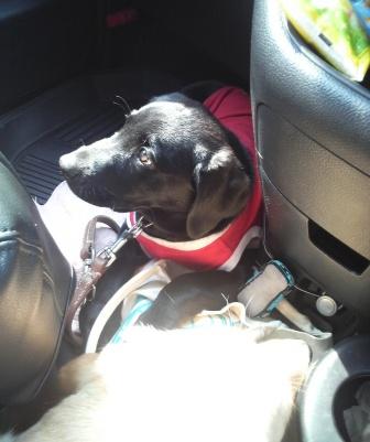 �o���������Ƃ�������I