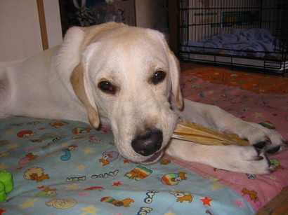 �o���������Ƃ�������I