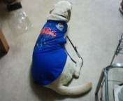 �o���������Ƃ�������I