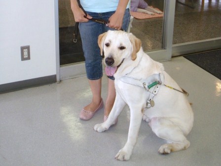 �o���������Ƃ�������I