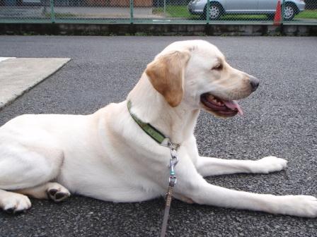 �o���������Ƃ�������I