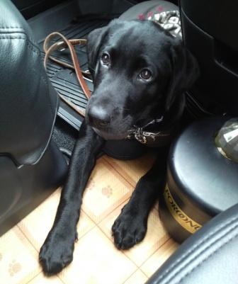 �o���������Ƃ�������I