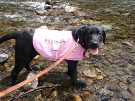 �o���������Ƃ�������I