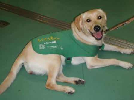 �o���������Ƃ�������I