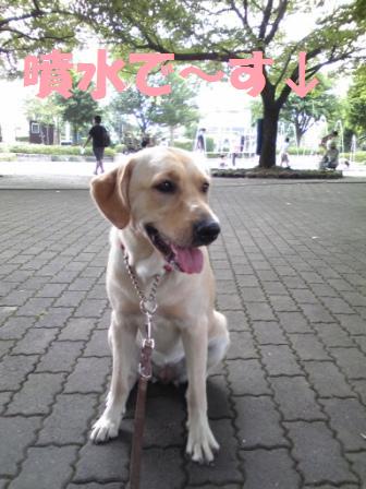 �o���������Ƃ�������I