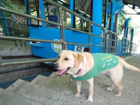 �o���������Ƃ�������I