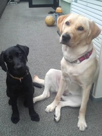 �o���������Ƃ�������I