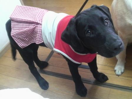 �o���������Ƃ�������I