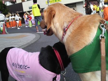 �o���������Ƃ�������I