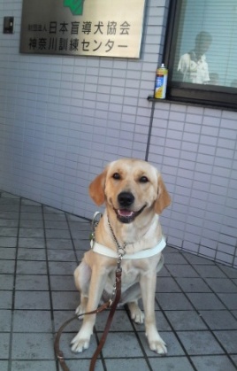 �o���������Ƃ�������I