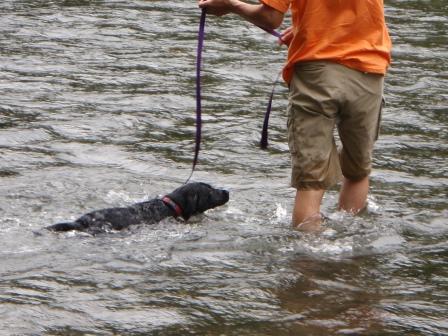 �o���������Ƃ�������I