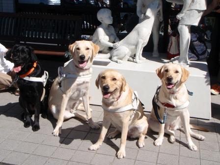 �o���������Ƃ�������I