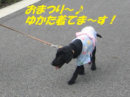 �o���������Ƃ�������I