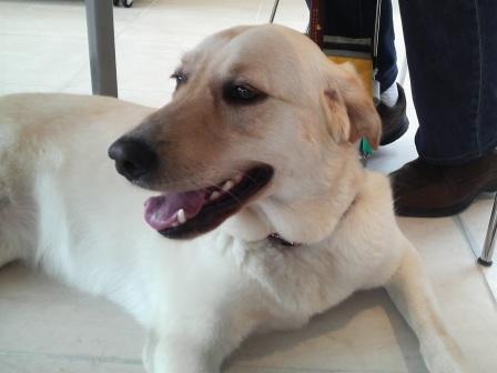 �o���������Ƃ�������I