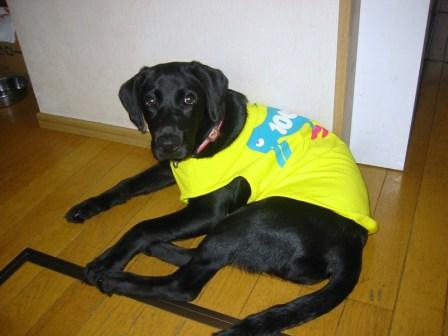 �o���������Ƃ�������I