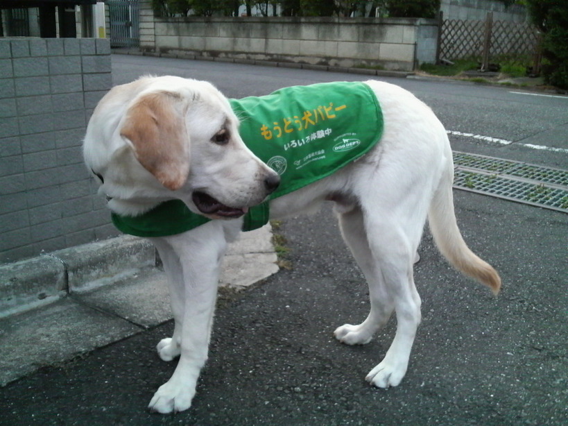 �o���������Ƃ�������I