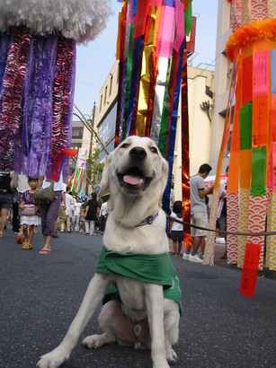 �o���������Ƃ�������I