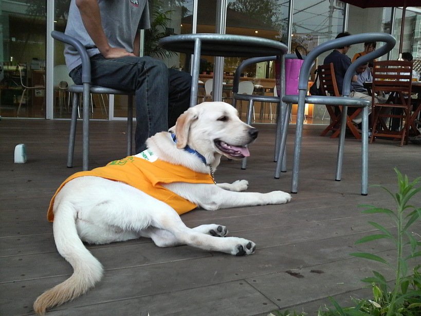 �o���������Ƃ�������I