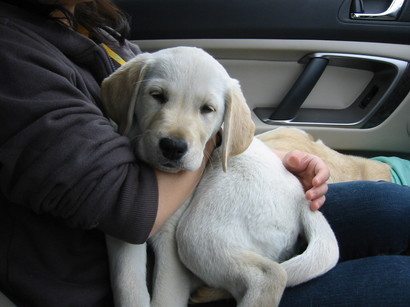 �o���������Ƃ�������I