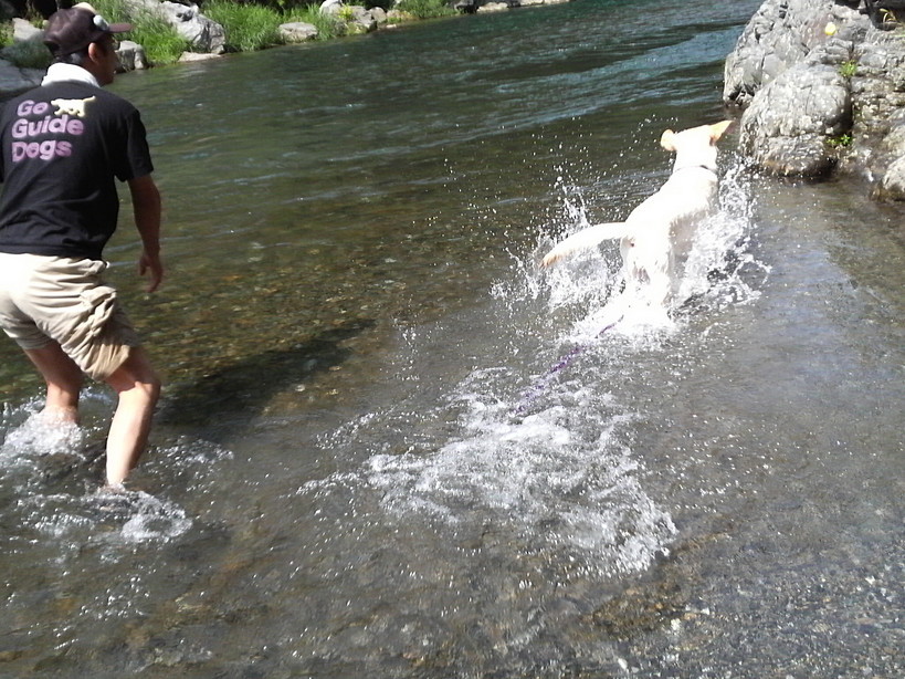 �o���������Ƃ�������I