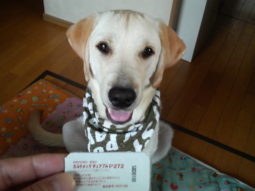 �o���������Ƃ�������I