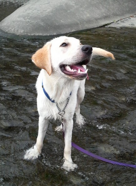 �o���������Ƃ�������I