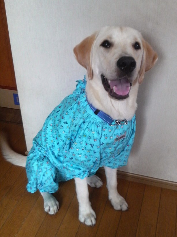 �o���������Ƃ�������I