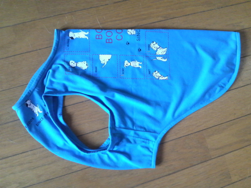 �o���������Ƃ�������I